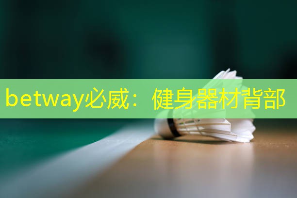 健身器材背部 健身器材背部
