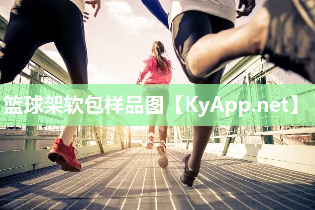 篮球架软包样品图