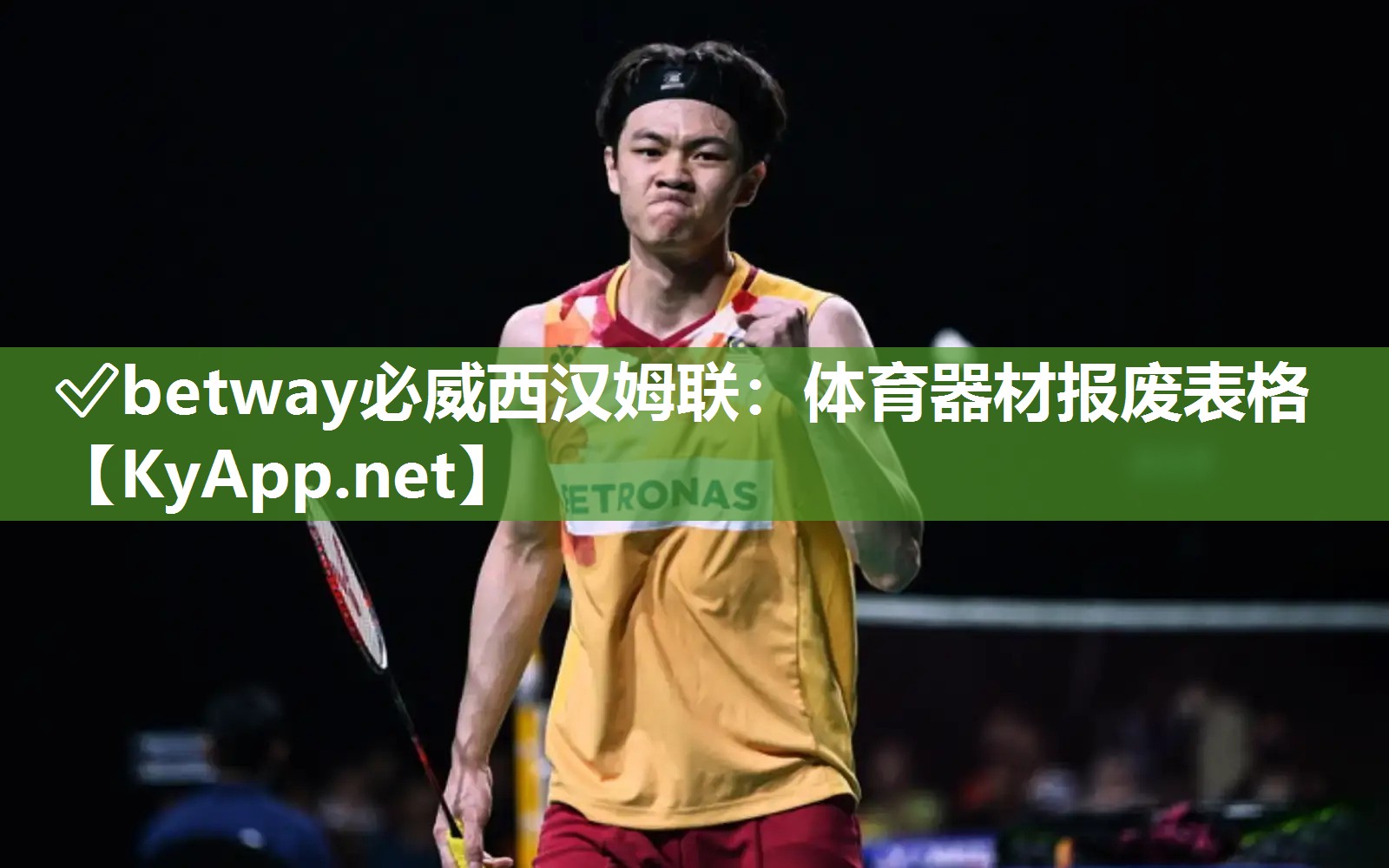 体育器材报废表格