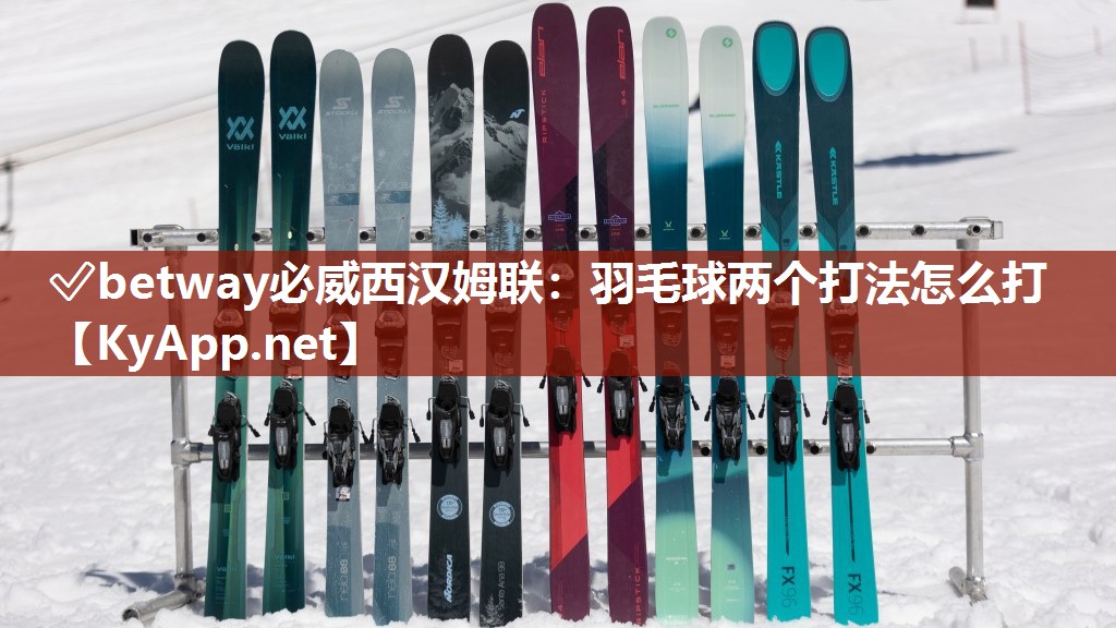 羽毛球两个打法怎么打