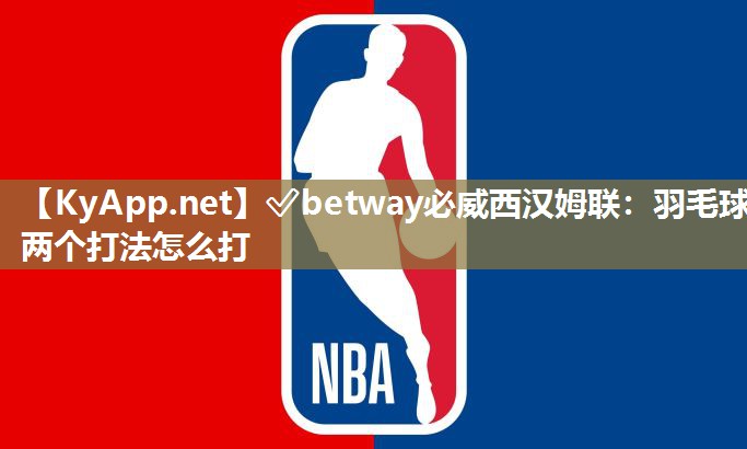 羽毛球两个打法怎么打