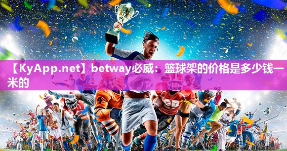 篮球架的价格是多少钱一米的