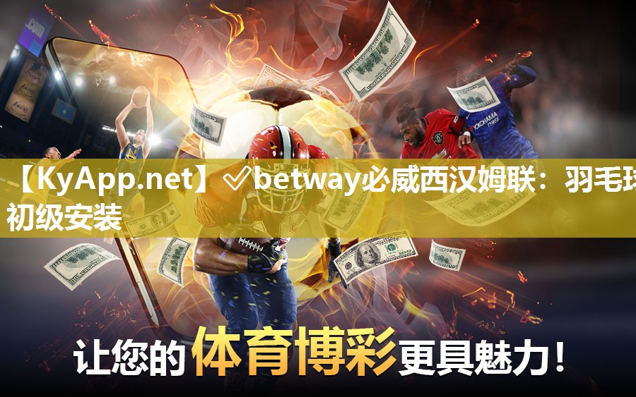 羽毛球初级安装