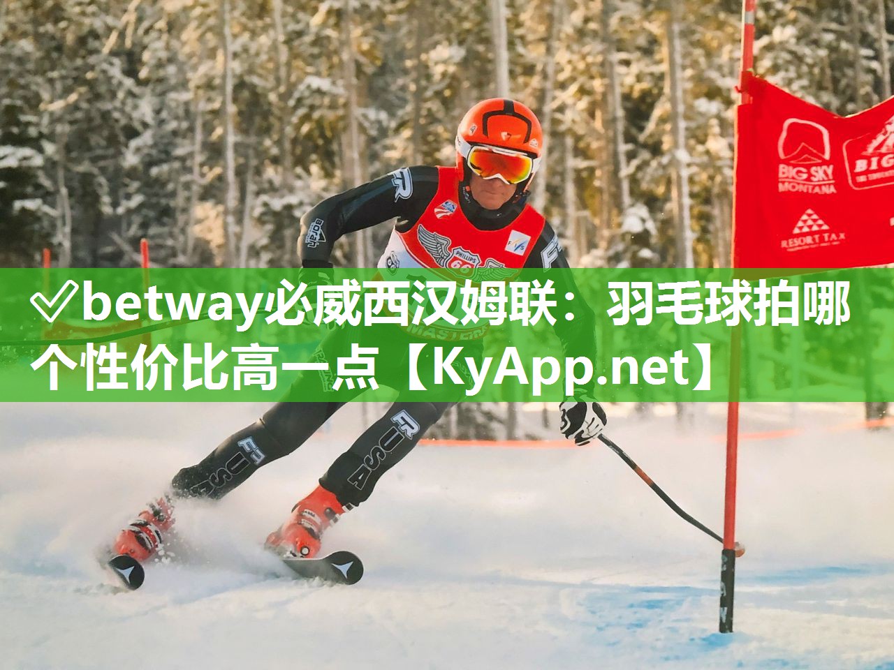 羽毛球拍哪个性价比高一点