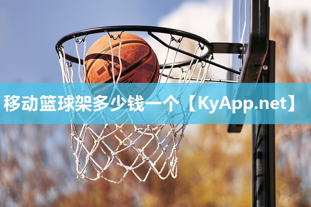 移动篮球架多少钱一个